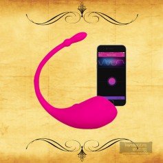 Lovense Lush Wireless Bluetooth App Vibrator Sex Toys In Kadiri